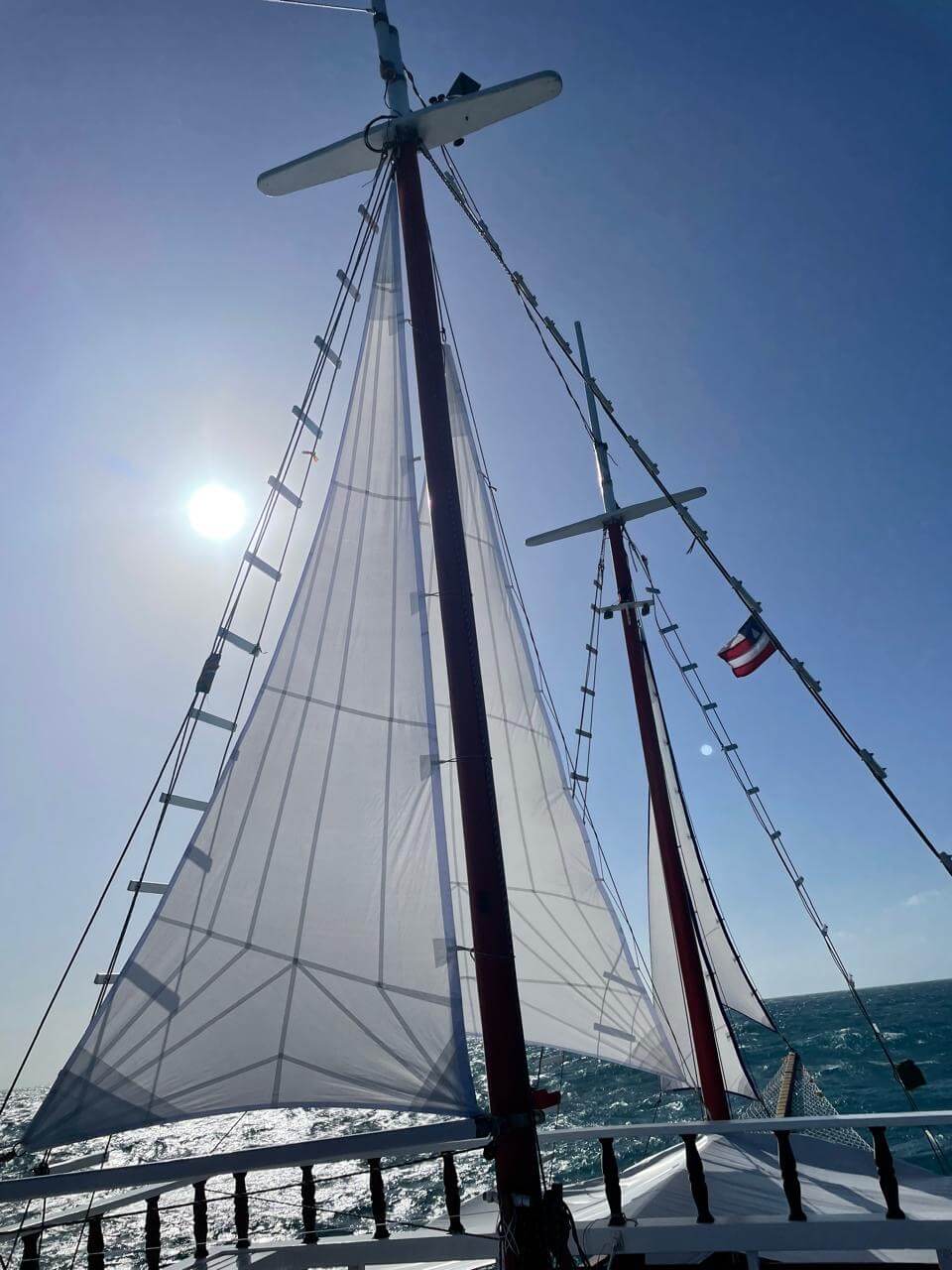 The sails raised against a bright sun on the open sea