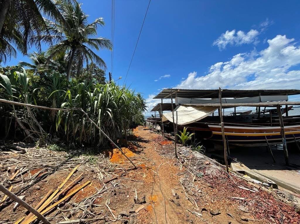 Wooden boats under construction beneath shelters at a palm-lined boatyard